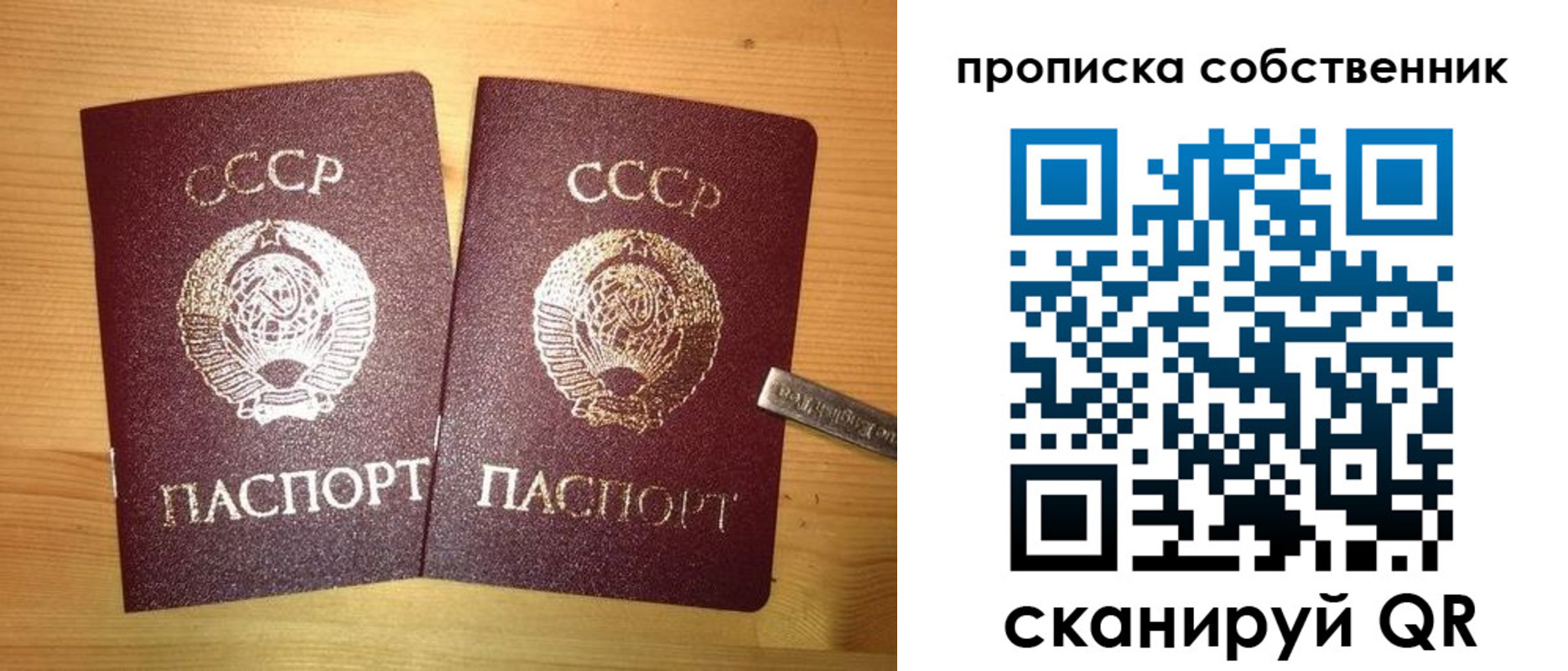 прописка для школы в Владимире